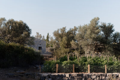 Phaea Resorts