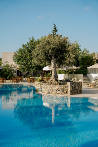 650 – Citrus Pool Bar