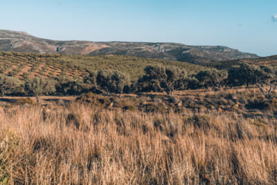 Lasithi_General (28)